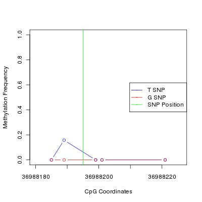 Allele Specific Methylation Frequency Diagram for chr20 36988195 SNP.