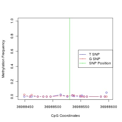 Allele Specific Methylation Frequency Diagram for chr20 36988530 SNP.