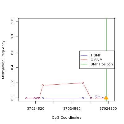 Allele Specific Methylation Frequency Diagram for chr20 37024598 SNP.