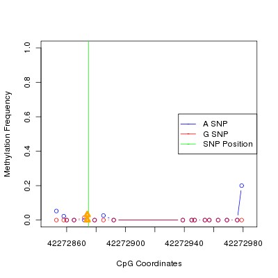 Allele Specific Methylation Frequency Diagram for chr20 42272875 SNP.