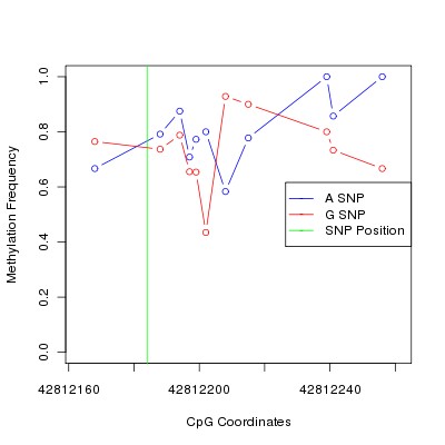 Allele Specific Methylation Frequency Diagram for chr20 42812184 SNP.