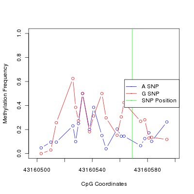 Allele Specific Methylation Frequency Diagram for chr20 43160569 SNP.