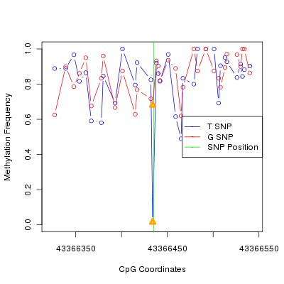 Allele Specific Methylation Frequency Diagram for chr20 43366435 SNP.