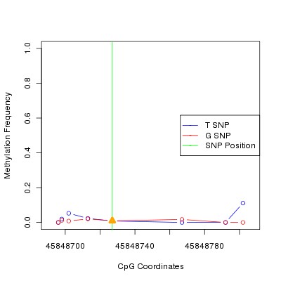 Allele Specific Methylation Frequency Diagram for chr20 45848727 SNP.