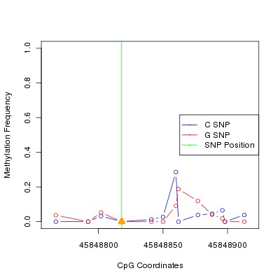 Allele Specific Methylation Frequency Diagram for chr20 45848818 SNP.