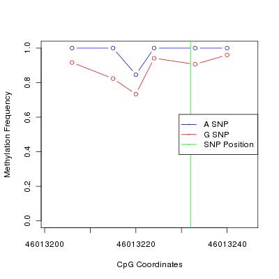 Allele Specific Methylation Frequency Diagram for chr20 46013232 SNP.