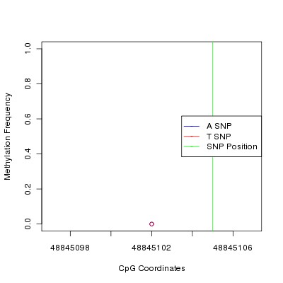 Allele Specific Methylation Frequency Diagram for chr20 48845105 SNP.