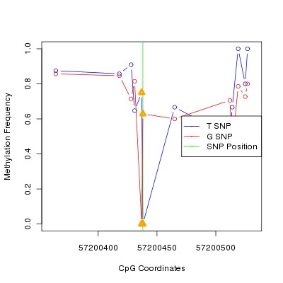 Allele Specific Methylation Frequency Diagram for chr20 57200438 SNP.