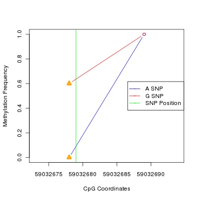 Allele Specific Methylation Frequency Diagram for chr20 59032679 SNP.