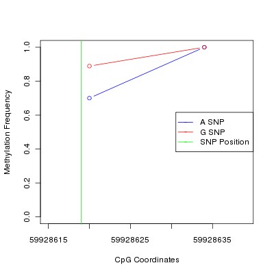 Allele Specific Methylation Frequency Diagram for chr20 59928619 SNP.