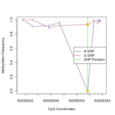 Allele Specific Methylation Frequency Diagram for chr20 60209317 SNP.
