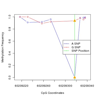 Allele Specific Methylation Frequency Diagram for chr20 60209317 SNP.