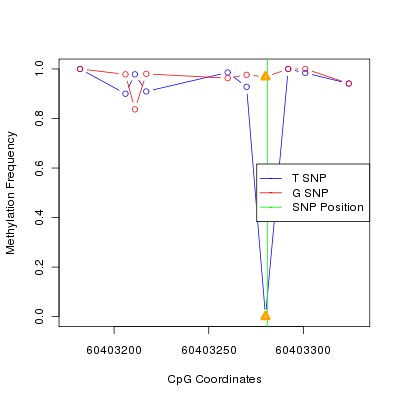 Allele Specific Methylation Frequency Diagram for chr20 60403281 SNP.