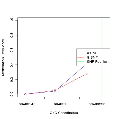 Allele Specific Methylation Frequency Diagram for chr20 60483226 SNP.