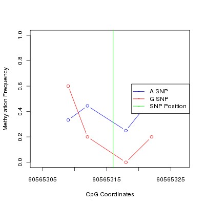 Allele Specific Methylation Frequency Diagram for chr20 60565316 SNP.