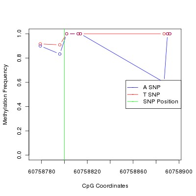 Allele Specific Methylation Frequency Diagram for chr20 60758800 SNP.