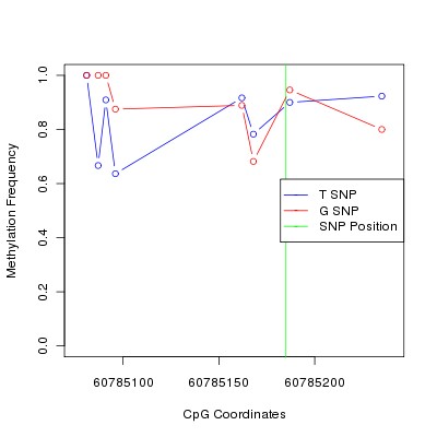 Allele Specific Methylation Frequency Diagram for chr20 60785185 SNP.