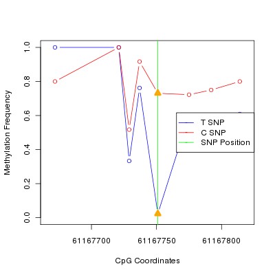 Allele Specific Methylation Frequency Diagram for chr20 61167751 SNP.