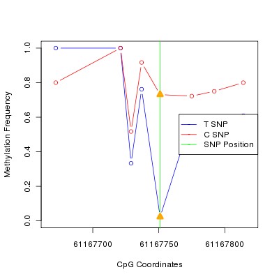 Allele Specific Methylation Frequency Diagram for chr20 61167751 SNP.