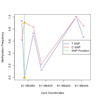 Allele Specific Methylation Frequency Diagram for chr20 61189376 SNP.