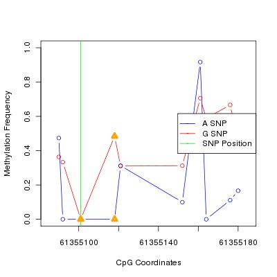 Allele Specific Methylation Frequency Diagram for chr20 61355101 SNP.