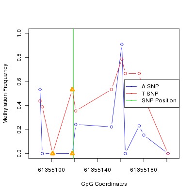 Allele Specific Methylation Frequency Diagram for chr20 61355119 SNP.