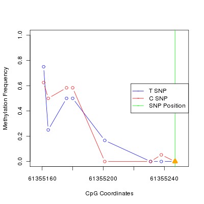 Allele Specific Methylation Frequency Diagram for chr20 61355247 SNP.