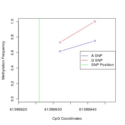 Allele Specific Methylation Frequency Diagram for chr20 61389926 SNP.