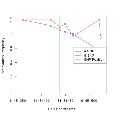 Allele Specific Methylation Frequency Diagram for chr20 61451438 SNP.