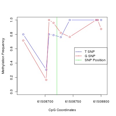 Allele Specific Methylation Frequency Diagram for chr20 61508721 SNP.