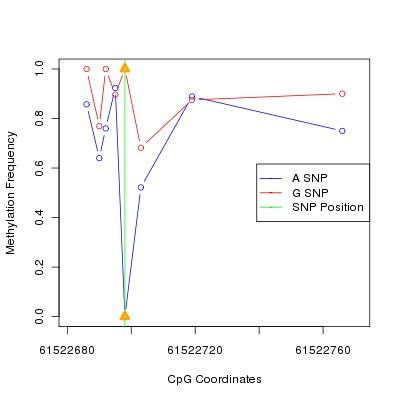 Allele Specific Methylation Frequency Diagram for chr20 61522698 SNP.