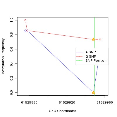 Allele Specific Methylation Frequency Diagram for chr20 61529949 SNP.