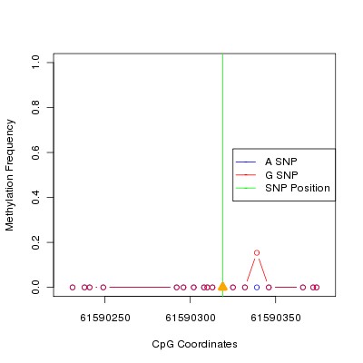 Allele Specific Methylation Frequency Diagram for chr20 61590319 SNP.