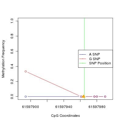 Allele Specific Methylation Frequency Diagram for chr20 61597965 SNP.