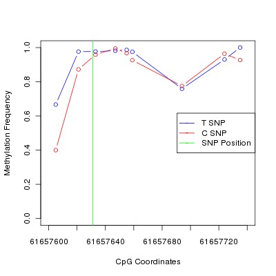 Allele Specific Methylation Frequency Diagram for chr20 61657631 SNP.