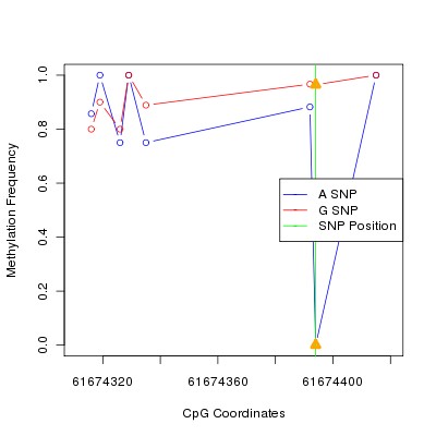 Allele Specific Methylation Frequency Diagram for chr20 61674394 SNP.