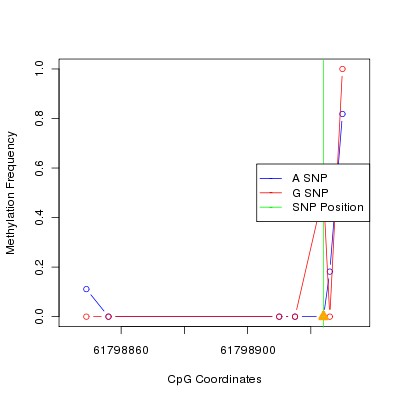 Allele Specific Methylation Frequency Diagram for chr20 61798924 SNP.