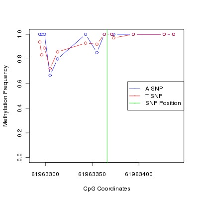 Allele Specific Methylation Frequency Diagram for chr20 61963366 SNP.