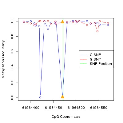 Allele Specific Methylation Frequency Diagram for chr20 61964471 SNP.