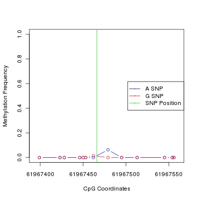 Allele Specific Methylation Frequency Diagram for chr20 61967466 SNP.