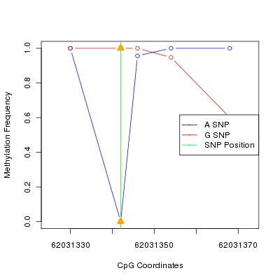 Allele Specific Methylation Frequency Diagram for chr20 62031342 SNP.