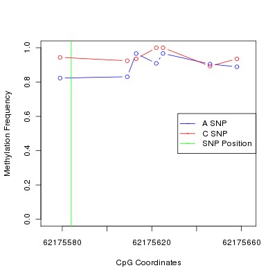 Allele Specific Methylation Frequency Diagram for chr20 62175584 SNP.