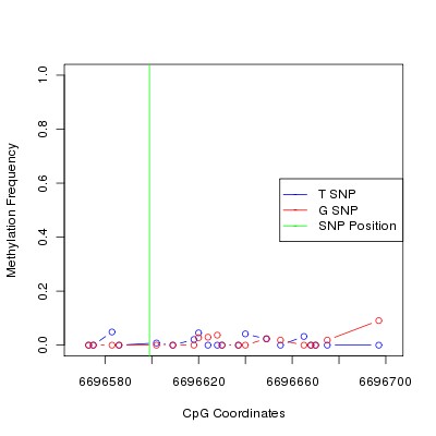 Allele Specific Methylation Frequency Diagram for chr20 6696599 SNP.