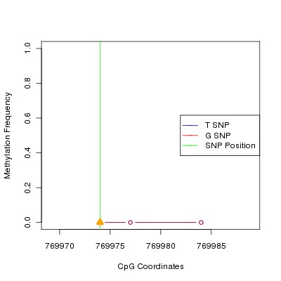 Allele Specific Methylation Frequency Diagram for chr20 769974 SNP.