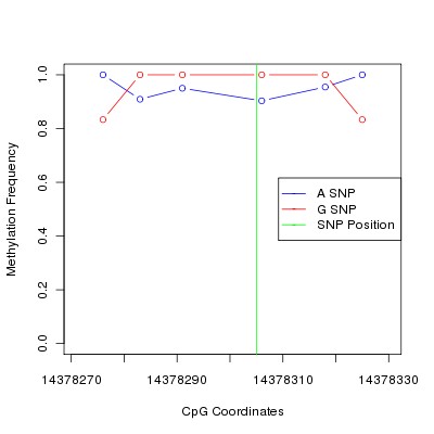 Allele Specific Methylation Frequency Diagram for chr21 14378305 SNP.