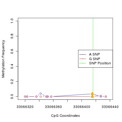 Allele Specific Methylation Frequency Diagram for chr21 33066416 SNP.