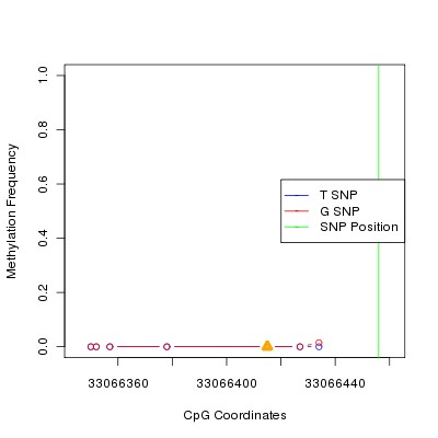 Allele Specific Methylation Frequency Diagram for chr21 33066456 SNP.