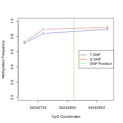 Allele Specific Methylation Frequency Diagram for chr21 34242811 SNP.