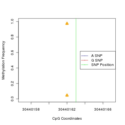 Allele Specific Methylation Frequency Diagram for chr22 30440163 SNP.