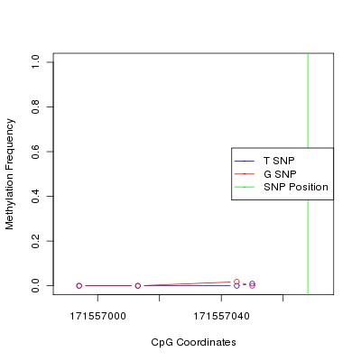 Allele Specific Methylation Frequency Diagram for chr3 171557068 SNP.